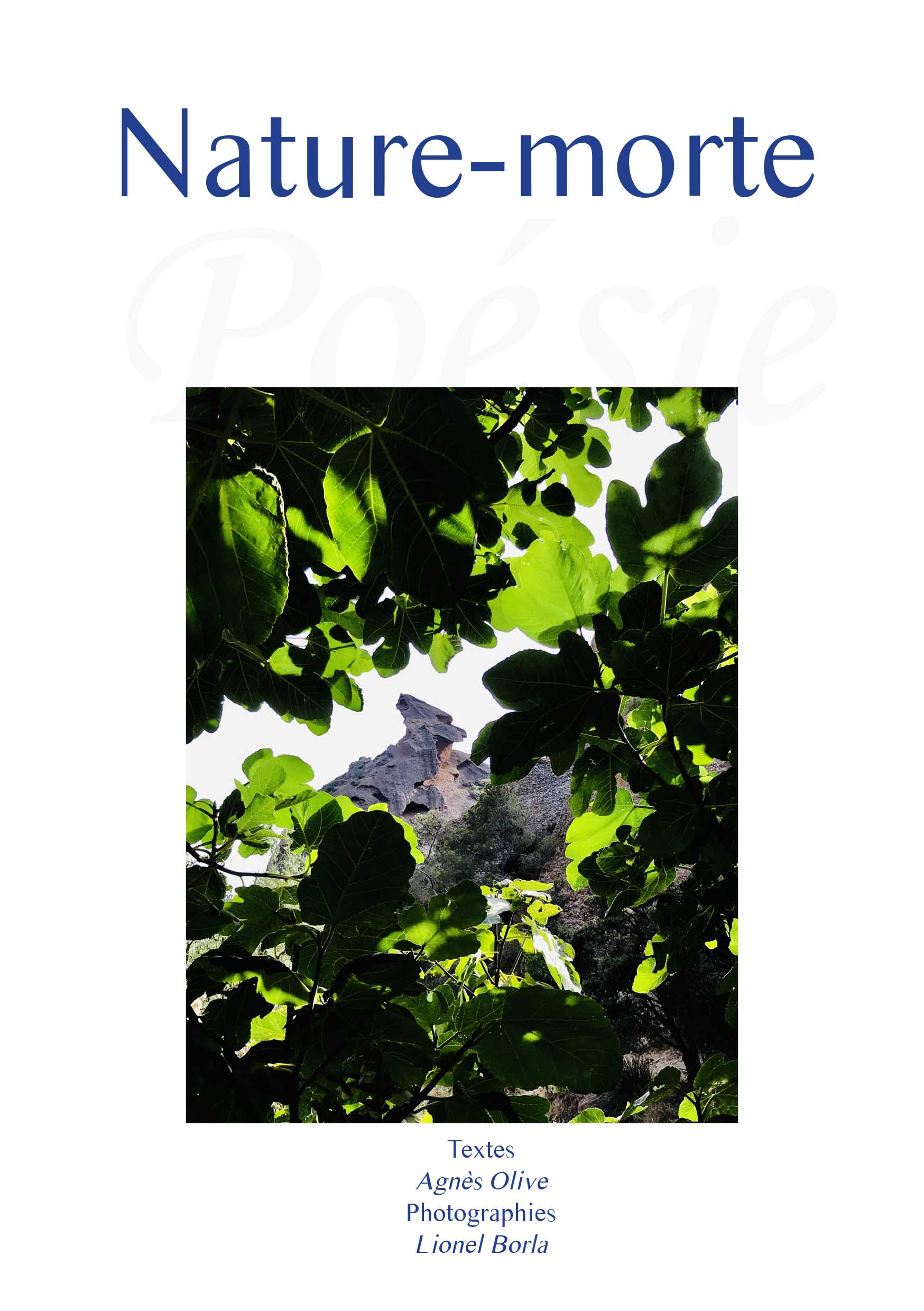 Couverture Nature Morte